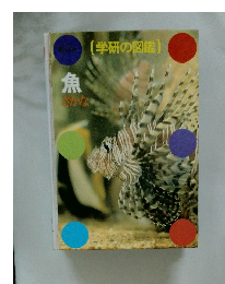 学研の図鑑　魚　
