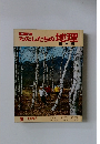 わたしたちの地理　10 中部編 2