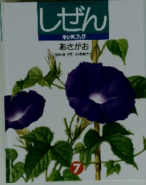 しぜん　キンダーブック　あさがお　7