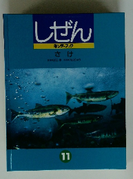 しぜん キンダーブック 　さけ　11