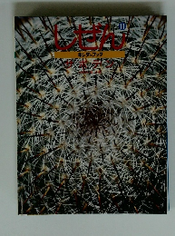 しぜんキンダーブック　11　サボテン