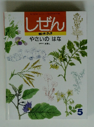 しぜん キンダーブック　やさいのはな 5