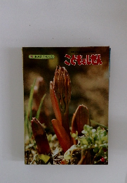 おおきくなった3　こどもとしせん