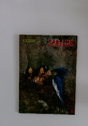 こどもしせん　５