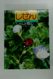 しせん　4　てんとうむし