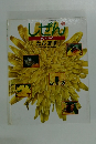 しぜん　たんぽぽ　キンダーブック 1994年5月号