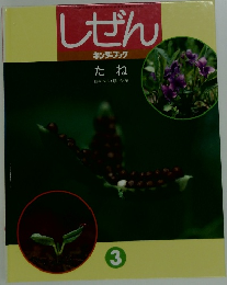 しぜん キンダーブック　3　 たね