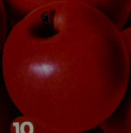 しぜん　10　りんご