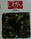 しぜん キンダーブック 9　こおろぎ