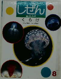 しぜん8　くらげ