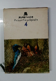 鳥 　原色学習ワイド図鑑4
