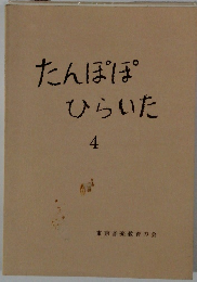 たんぽぽひらいた4