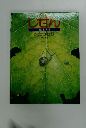 しせん　かたつむり