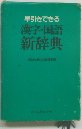 漢字・国語 新辞典