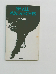 SMALL AVALANCHES