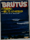 BRUTUS 1981年4月15日号