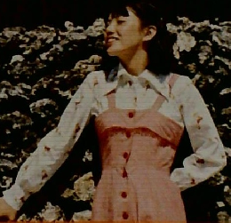 沖縄と南西の島々 アルバインガイド 16