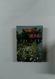 しとつけの遊歩道