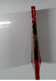 麗しの女性たち展