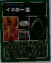 科学のアルバム　26　イネの一生