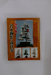 さつき若木樹形の改作集
