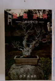 盆栽百科　上　手な育て方