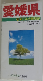 愛媛県 38 新日本分県地図