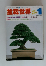 盆栽世界　1982年1月号　No.141