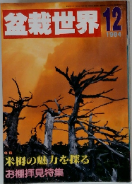 盆栽世界　1984年12月