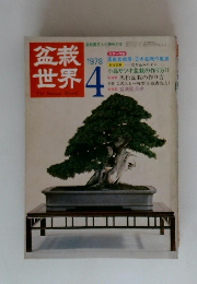 盆栽世界　1978年４月
