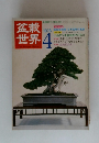 盆栽世界　1978年４月