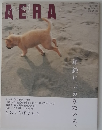 AERA 12/10