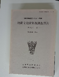 埋蔵文化財発掘調査報告　第3分冊 8