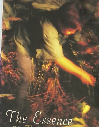 SAWASDEE　2001年2月号