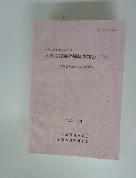 大多田遺跡発掘調査報告(2次)