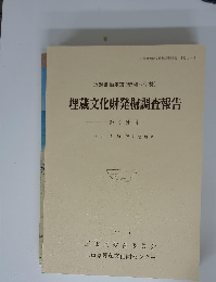 埋蔵文化財発掘調査報告　第4分冊　1992年3月号