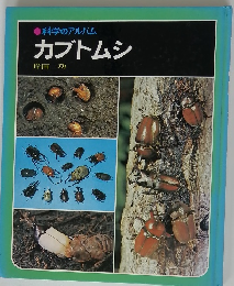 科学のアルバム　カブトムシ