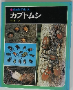 科学のアルバム　カブトムシ