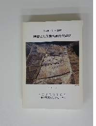 埋蔵文化財発掘調査概報Ⅳ　一般国道23号 中勢道路
