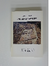 埋蔵文化財発掘調査概報Ⅳ　一般国道23号 中勢道路