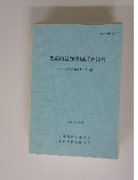 堂垣内遺跡発掘調査報告　1994年3月号