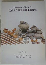 埋蔵文化財発掘調査概報VII