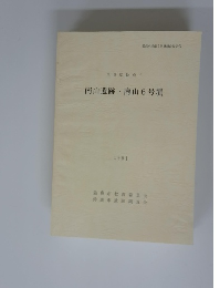 南山遺跡 南山6号墳