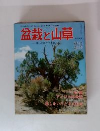 盆栽と山草　1979年　No.1