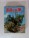 盆栽と山草　1979年　No.1