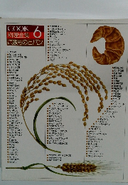 料理全集 6 ご飯ものとパン