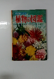 学習図鑑シリーズ 1 植物の図鑑