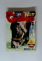 ギャロップ　1/16