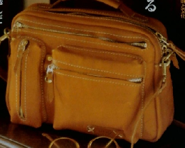 サライ　2004年1月22日号