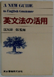 英文法の活用